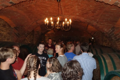2018-Musikerausflug-Suedsteiermark-33
